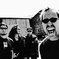 Metallica , 2004